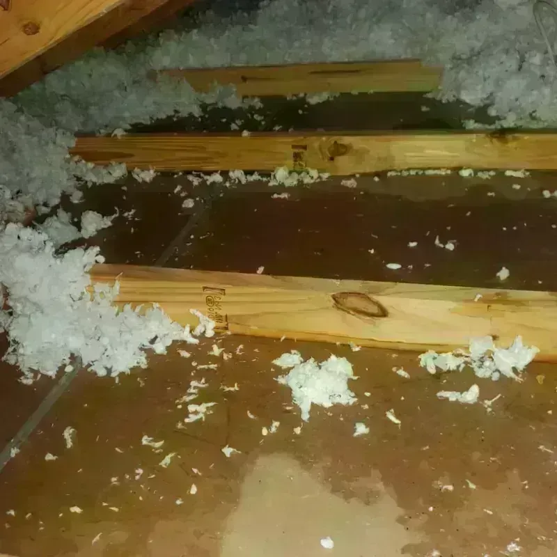 Attic Water Damage in Friendship, NY